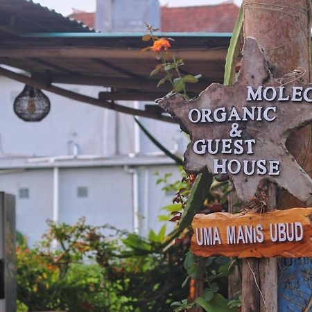 ホテル Uma Manis Ubud エクステリア 写真